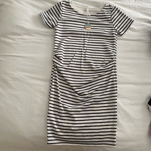 PinkBlush Maternity White with Blue Stripes Dress S